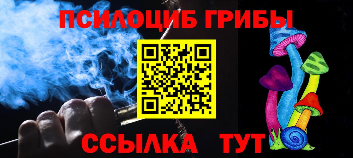 Псилоцибиновые грибы Psilocybine cubensis  Вход с VPN  Знаменск 